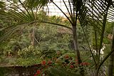 leipzig zoo-01_07_2011_gondwanaland_128